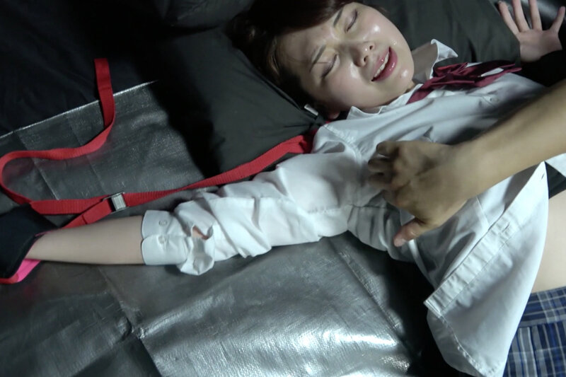 サンプル画像 14