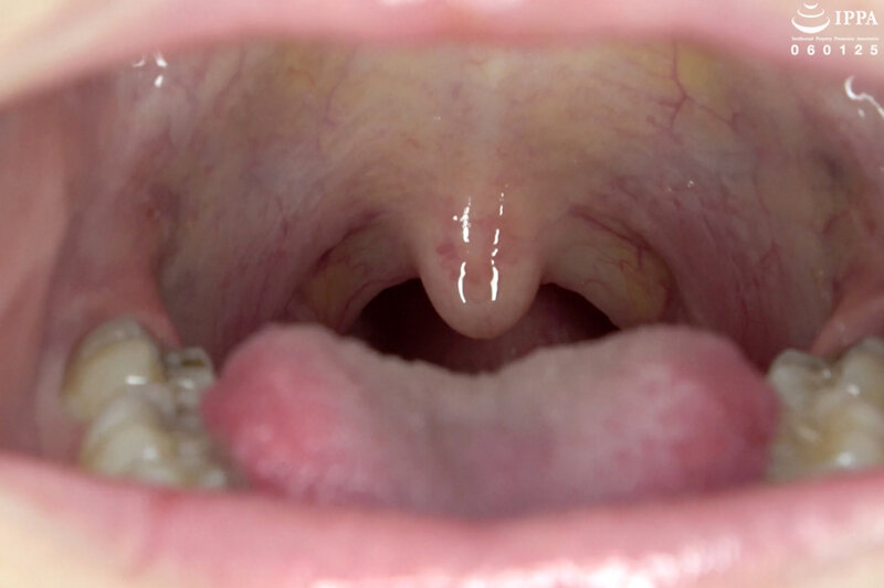 サンプル画像 13