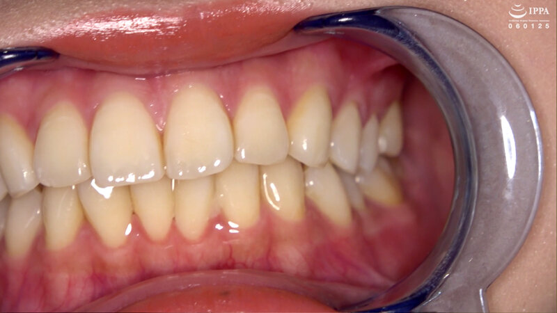 サンプル画像 11