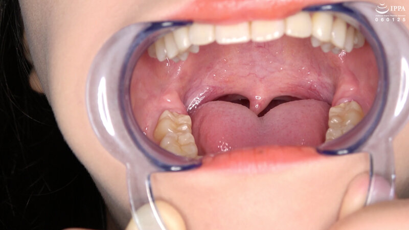 サンプル画像 12