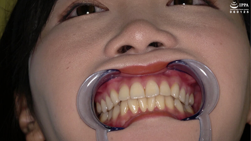 サンプル画像 13