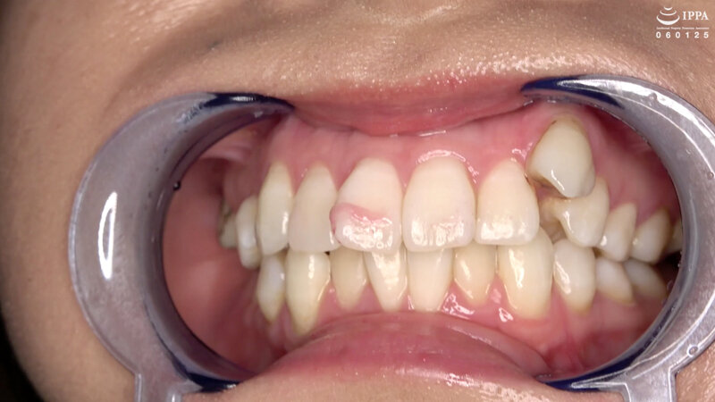 サンプル画像 12