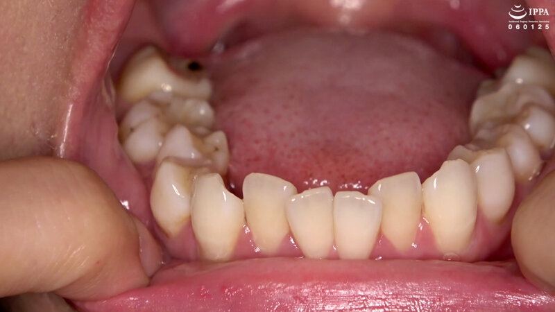 サンプル画像 14