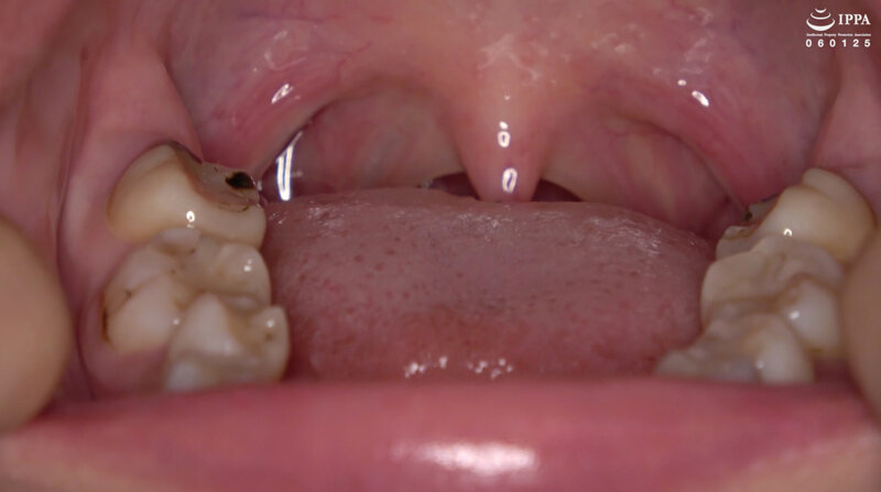 サンプルプレビュー