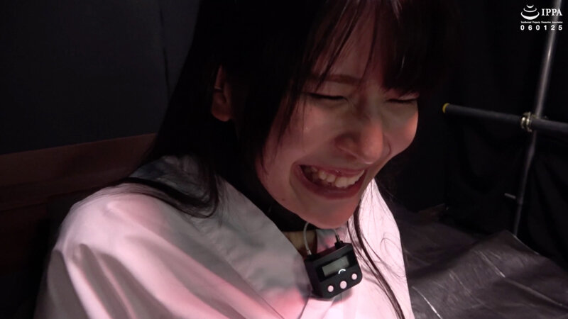 サンプル画像 13