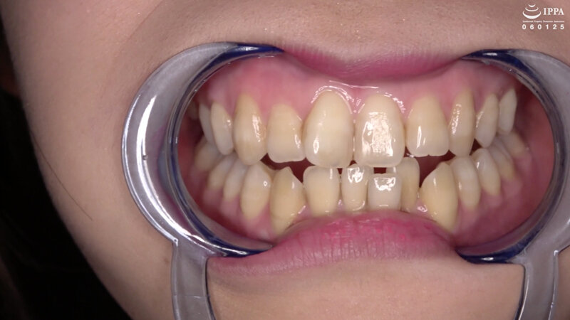 サンプル画像 12