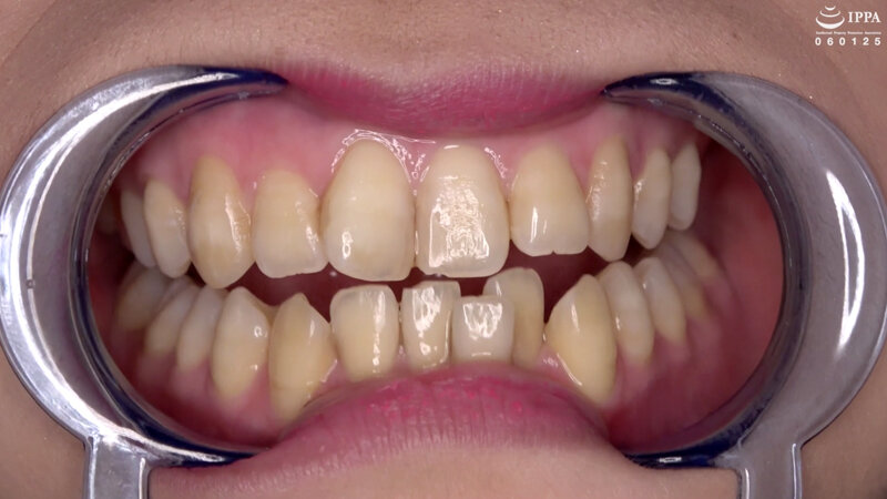 サンプル画像 13