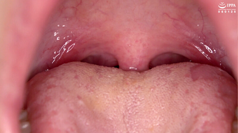 サンプル画像 15