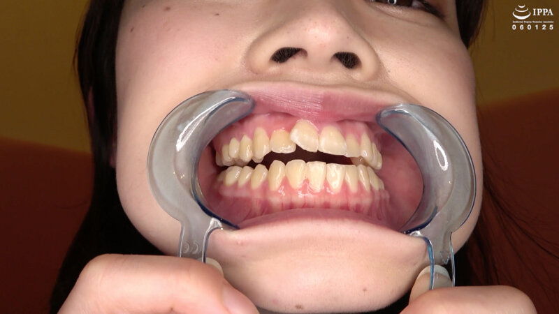 サンプル画像 8