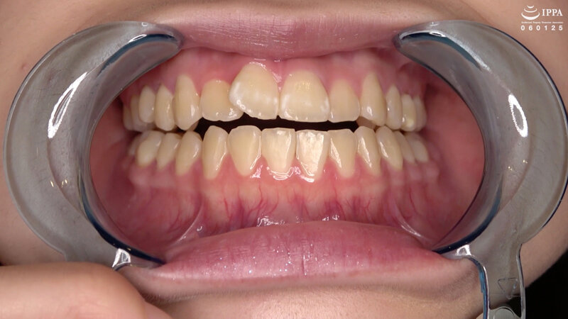 サンプル画像 10