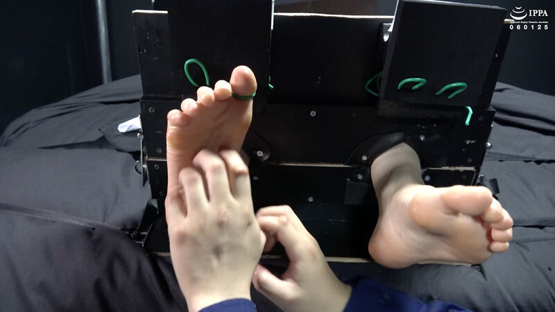 サンプル画像 11