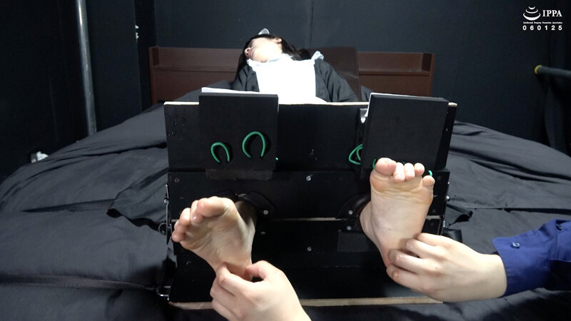 サンプル画像 8