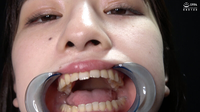 サンプル画像 13