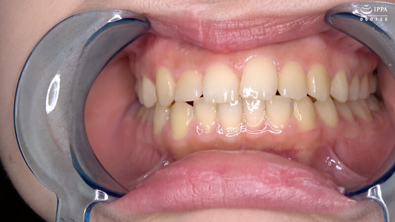 サンプル画像 16