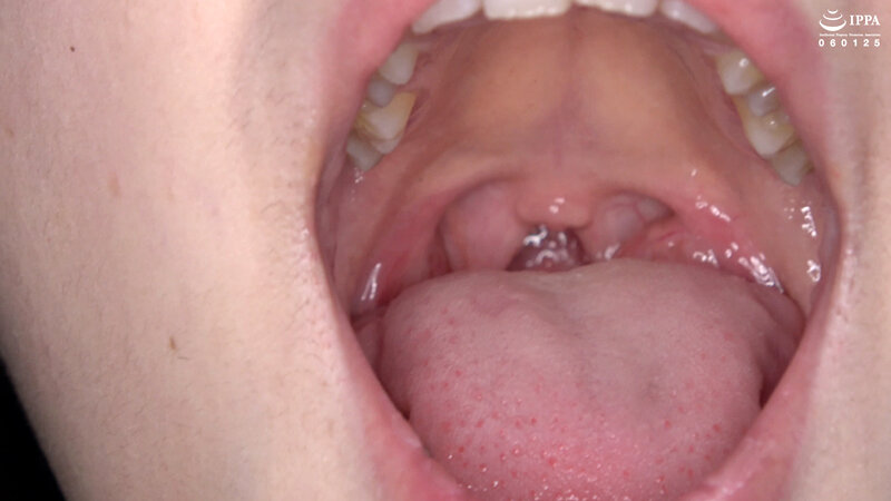 サンプル画像 8