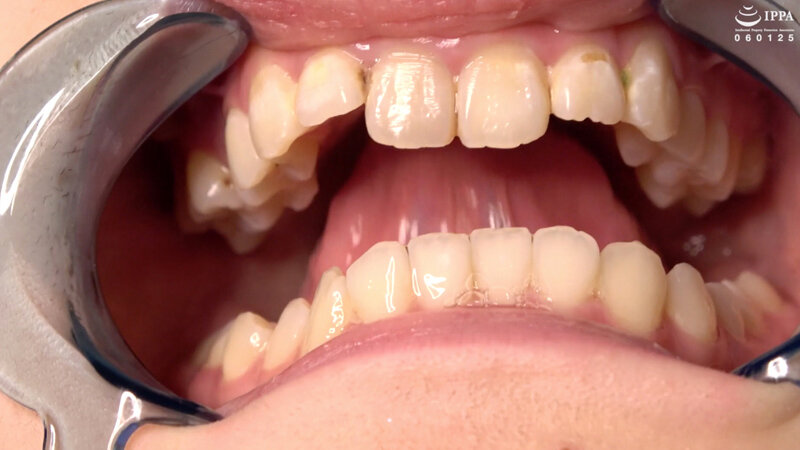 サンプル画像 8