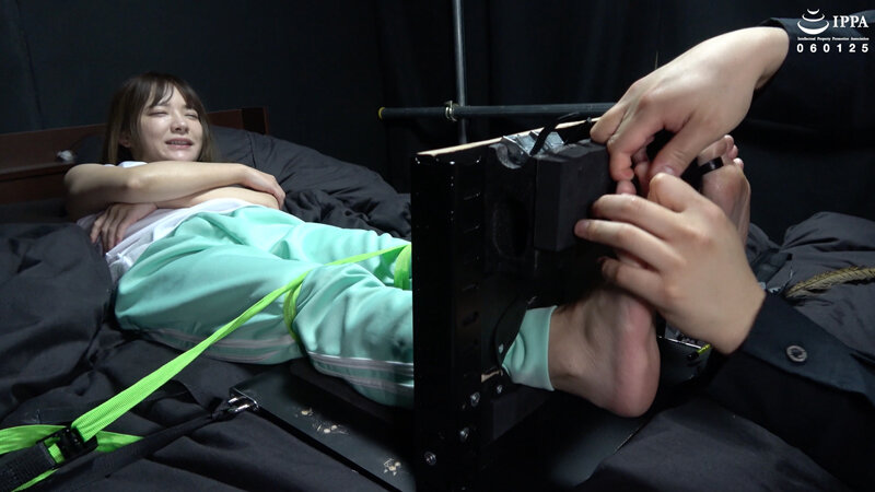 サンプル画像 11