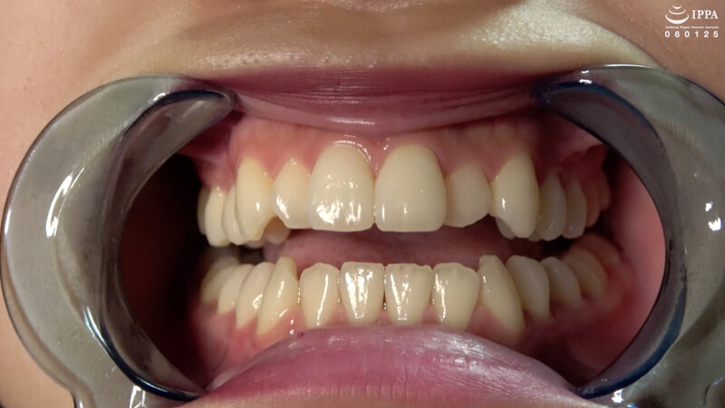 サンプル画像 12