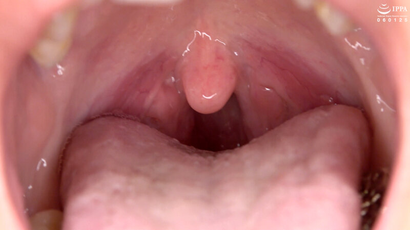 サンプル画像 13