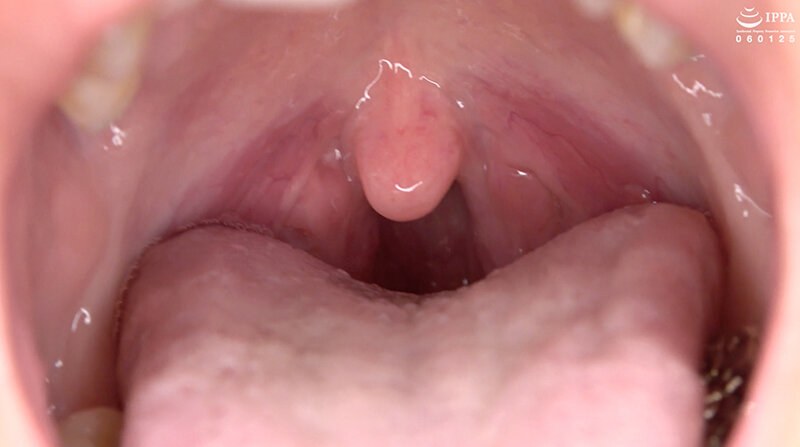 サンプルプレビュー