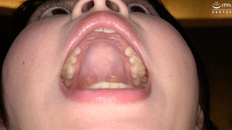 サンプル画像 12