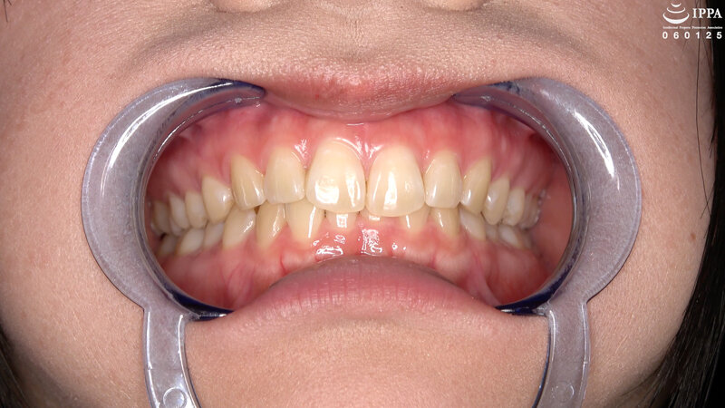 サンプル画像 6