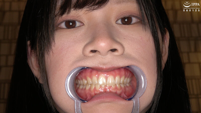 サンプル画像 7