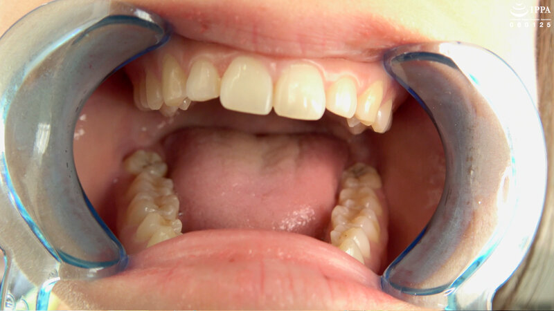 サンプル画像 6