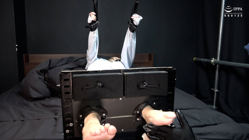 サンプル画像 11