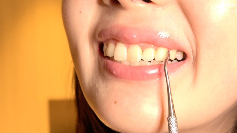 サンプル画像 14