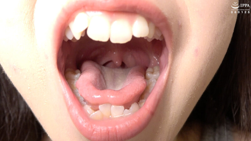 サンプル画像 8