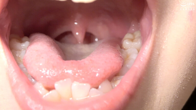 サンプル画像 9