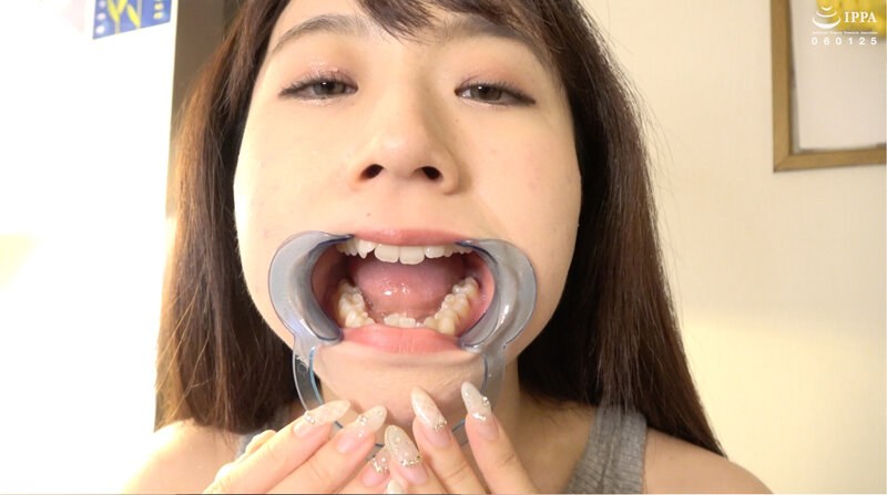 サンプルプレビュー