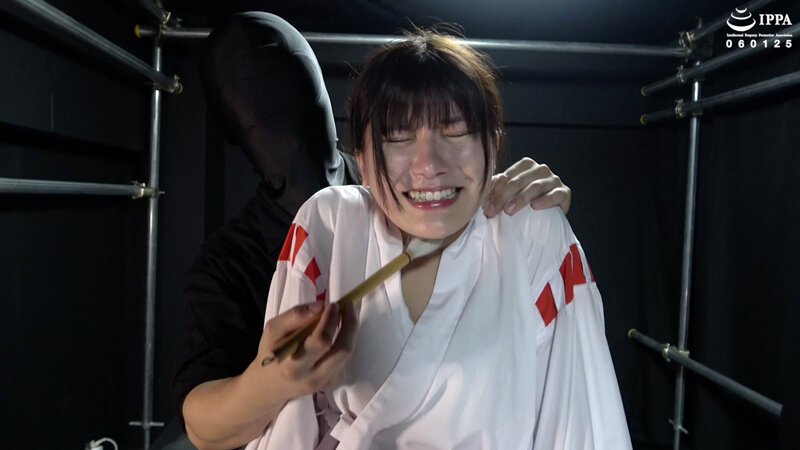 サンプル画像 3