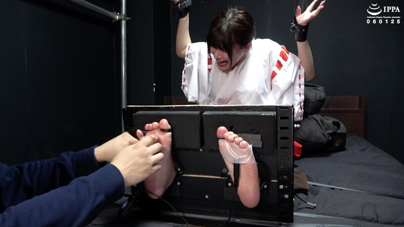 サンプル画像 8