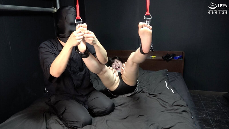 サンプル画像 11