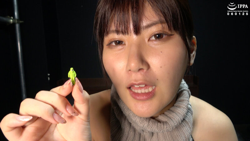 サンプル画像 4