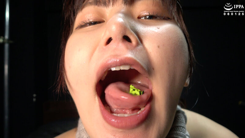 サンプル画像 8