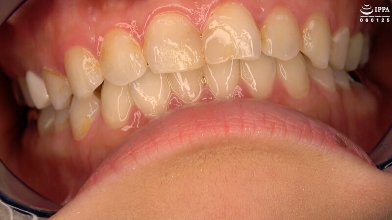 サンプル画像 5