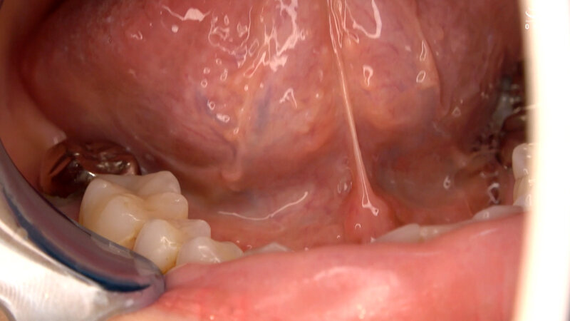 サンプル画像 7