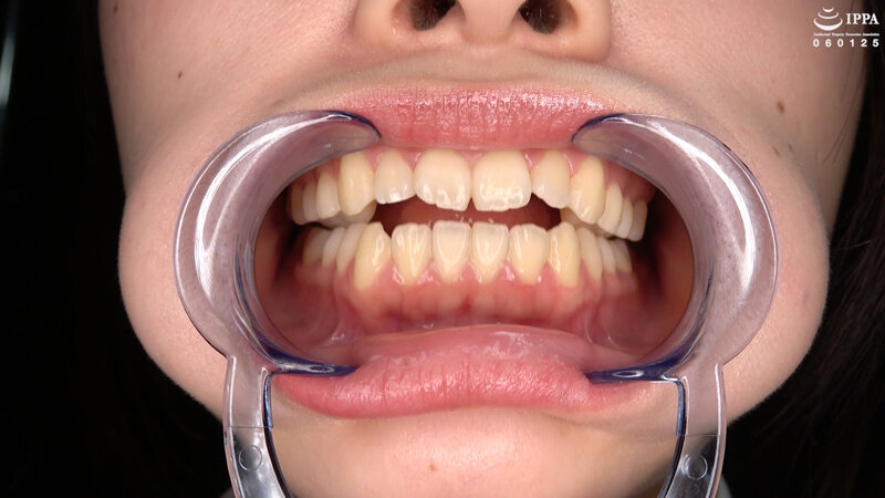 サンプル画像 11