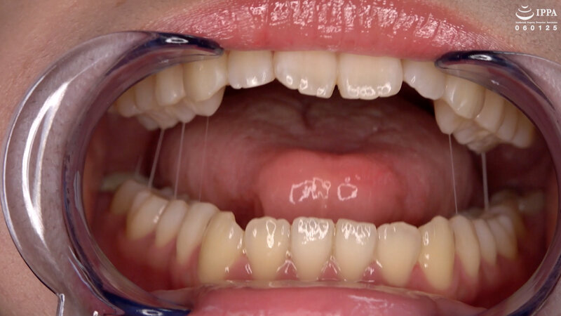 サンプル画像 12