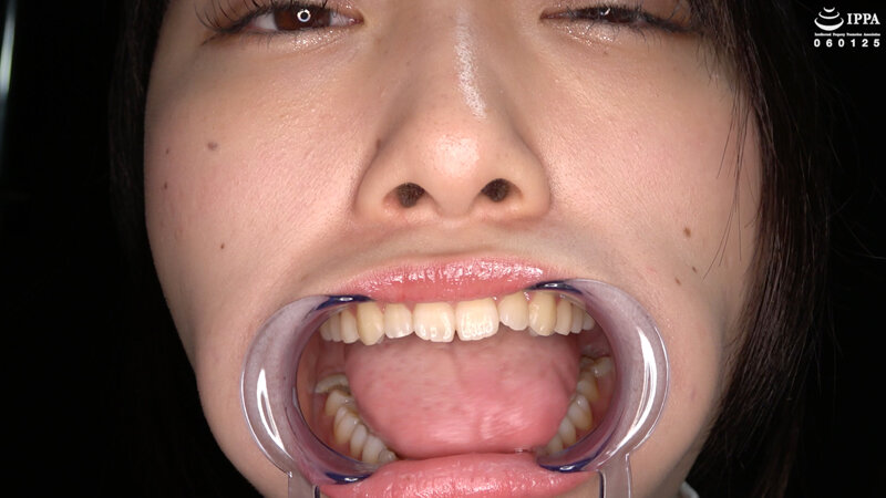 サンプル画像 13