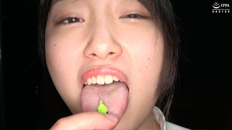 サンプル画像 3