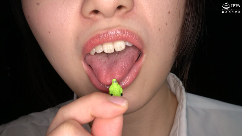 サンプル画像 4