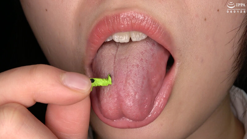 サンプル画像 5