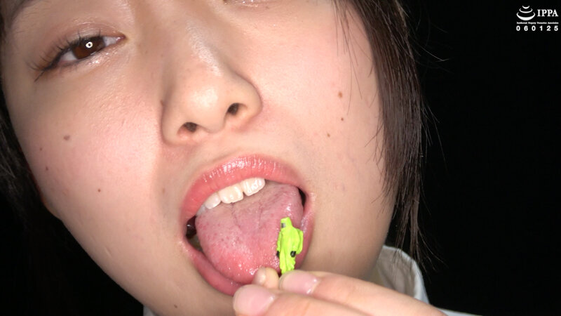 サンプル画像 6