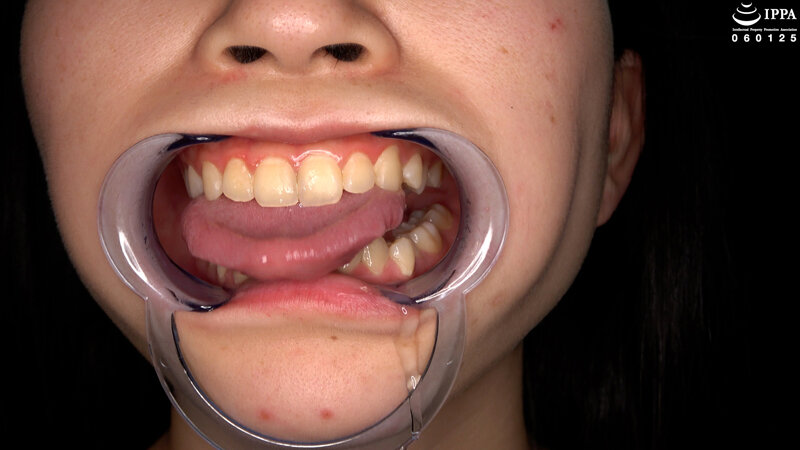 サンプル画像 6