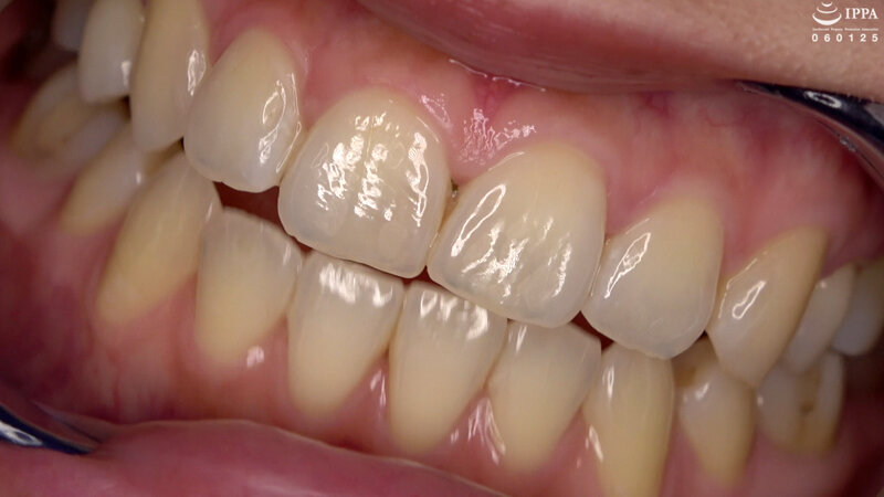 サンプル画像 15