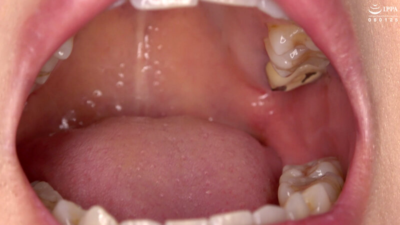 サンプル画像 16